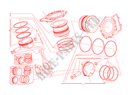 CYLINDRES   PISTONS pour Ducati 899 Panigale 2015
