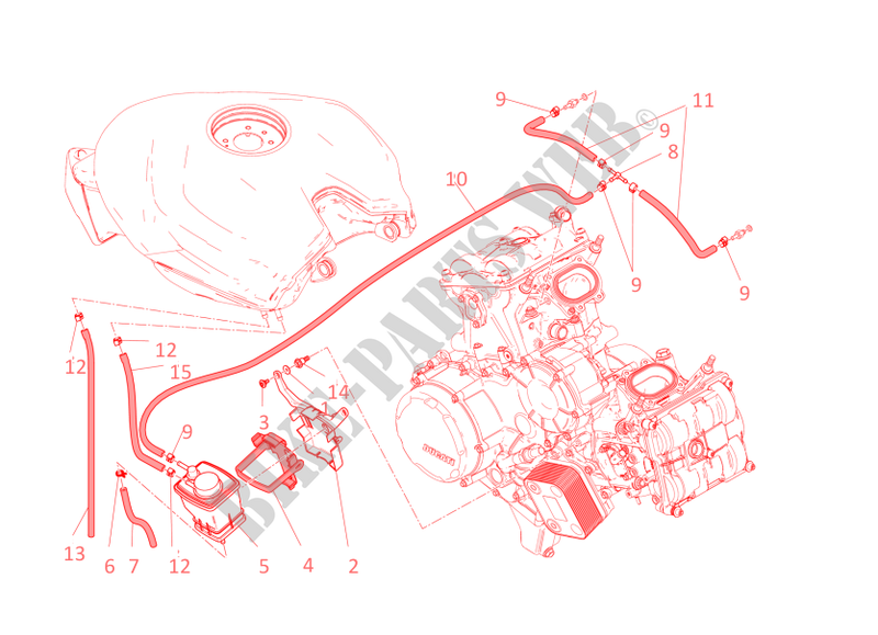 EVAPORATIVE EMISSION SYSTEM (EVAP) pour Ducati 1199 Panigale 2013