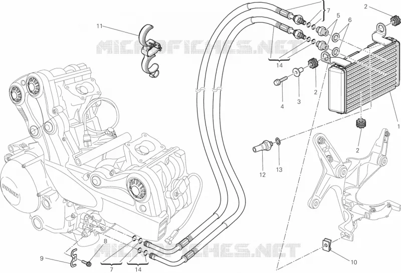 RADIATEUR D'HUILE Ducati Moto Multistrada 2014 Multistrada 1200 S Pikes Peak  Multistrada 1200 S Pikes Peak