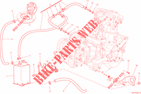 EVAPORATIVE EMISSION SYSTEM (EVAP) pour Ducati Multistrada 1200 ABS 2013