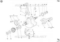VILEBREQUIN pour Ducati 998 2003