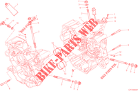 DEMI CARTERS MOTEUR pour Ducati Hypermotard 2015