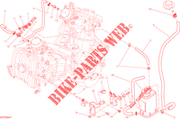 EVAPORATIVE EMISSION SYSTEM (EVAP) pour Ducati Hypermotard 2015