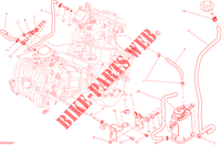 EVAPORATIVE EMISSION SYSTEM (EVAP) pour Ducati Hyperstrada 2015