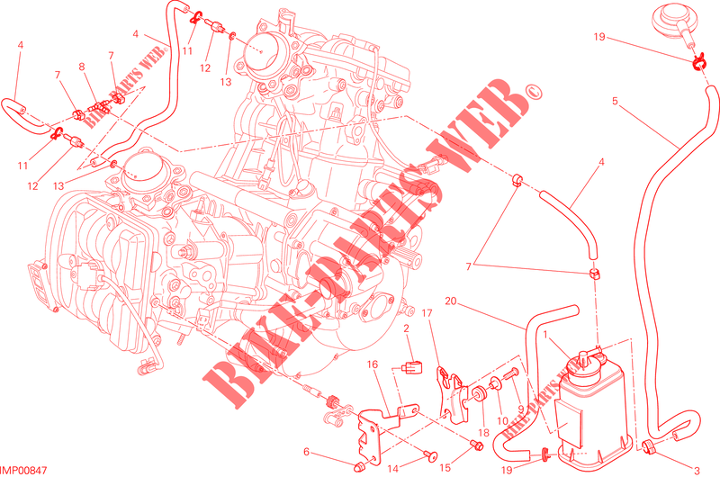 EVAPORATIVE EMISSION SYSTEM (EVAP) pour Ducati Hyperstrada 2015