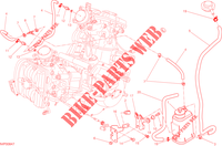 EVAPORATIVE EMISSION SYSTEM (EVAP) pour Ducati Hypermotard SP 2015