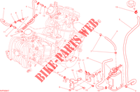 EVAPORATIVE EMISSION SYSTEM (EVAP) pour Ducati Hypermotard 2014