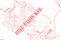 EVAPORATIVE EMISSION SYSTEM (EVAP) pour Ducati Hyperstrada 2014