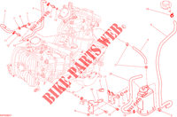 EVAPORATIVE EMISSION SYSTEM (EVAP) pour Ducati Hypermotard SP 2014