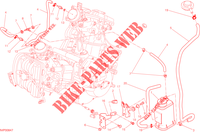 EVAPORATIVE EMISSION SYSTEM (EVAP) pour Ducati Hyperstrada 2013