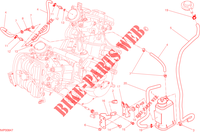 EVAPORATIVE EMISSION SYSTEM (EVAP) pour Ducati Hypermotard SP 2013