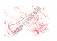 EVAPORATIVE EMISSION SYSTEM (EVAP) pour Ducati Panigale R 2016