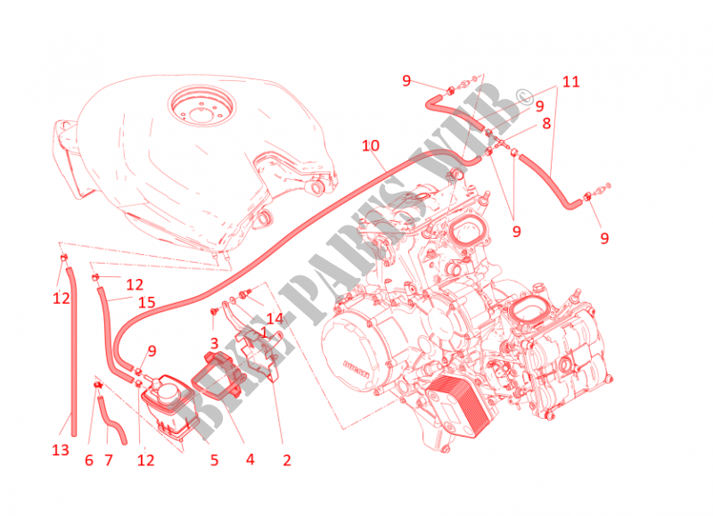 EVAPORATIVE EMISSION SYSTEM (EVAP) pour Ducati Panigale R 2016