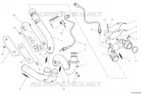 COLLECTEUR D'ECHAPPEMENT pour Ducati Scrambler 800 Cafe Racer 2019