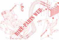 RADIATEUR D'HUILE pour Ducati Multistrada 1200 S GT 2014