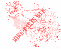 CIRCUIT DE REFROIDISSEMENT pour Ducati 996 SPS III 2000