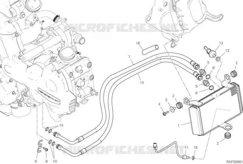 RADIATEUR D'HUILE Ducati Moto Multistrada 2020 Multistrada 1260 S ABS  Multistrada 1260 S ABS