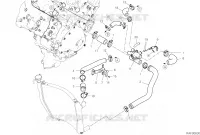 CIRCUIT DE REFROIDISSEMENT pour Ducati Panigale V4 R 1000 2020