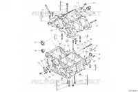 DEMI CARTERS MOTEUR pour Ducati Panigale V4 R 1000 2020