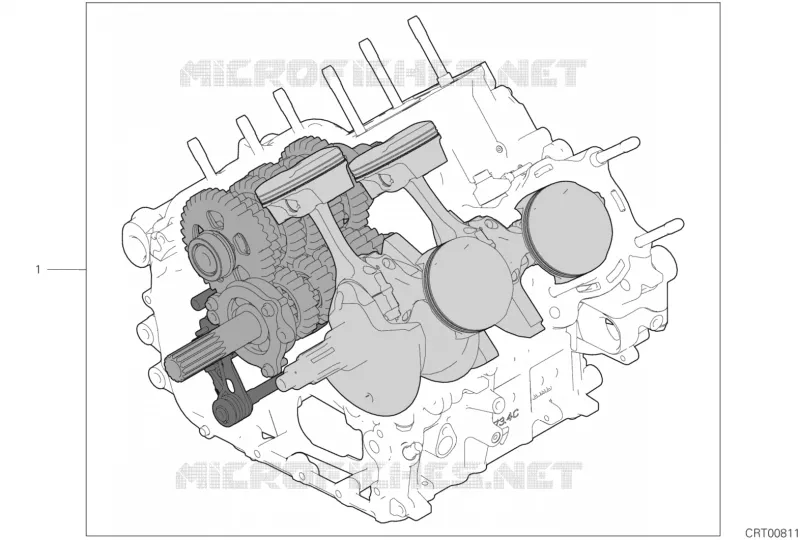 ENSEMBLE CARTER MOTEUR Ducati Moto Superbike 2018 Panigale 1100 V4 S  Panigale 1100 V4 S