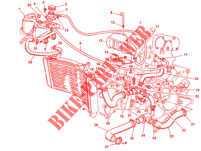 CIRCUIT DE REFROIDISSEMENT pour Ducati 748 1998