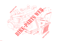RADIATEUR D'HUILE pour Ducati Monster 1100 2009
