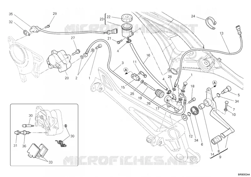 SYSTÈME DE FREIN ARRIERE Ducati Moto Monster 2009 Monster 1100  Monster 1100
