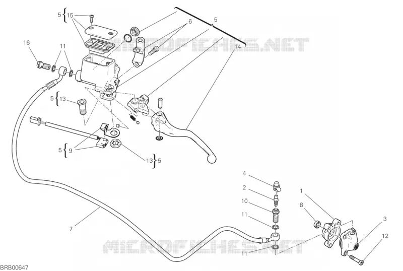COMMANDE D'EMBRAYAGE Ducati Moto Scrambler 2020 Scrambler 1100 Pro  Scrambler 1100 Pro