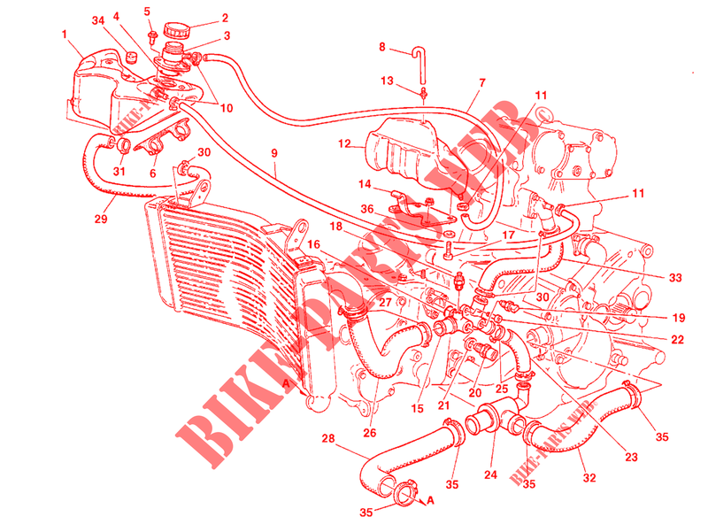 CIRCUIT DE REFROIDISSEMENT pour Ducati 996 1999