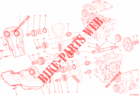 DISTRIBUTION pour Ducati Monster 821 2015
