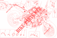 FAISCEAU ELECTRIQUE pour Ducati Monster 821 Stripes 2015