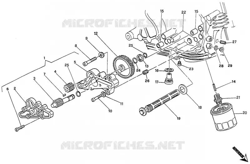 POMPE A HUILE - FILTRE Ducati Moto Monster 1993 Monster 600  Monster 600