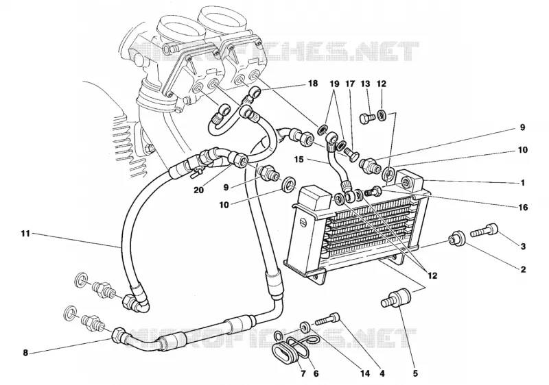 RADIATEUR D'HUILE Ducati Moto Monster 1998 Monster 900 Cromo  Monster 900 Cromo