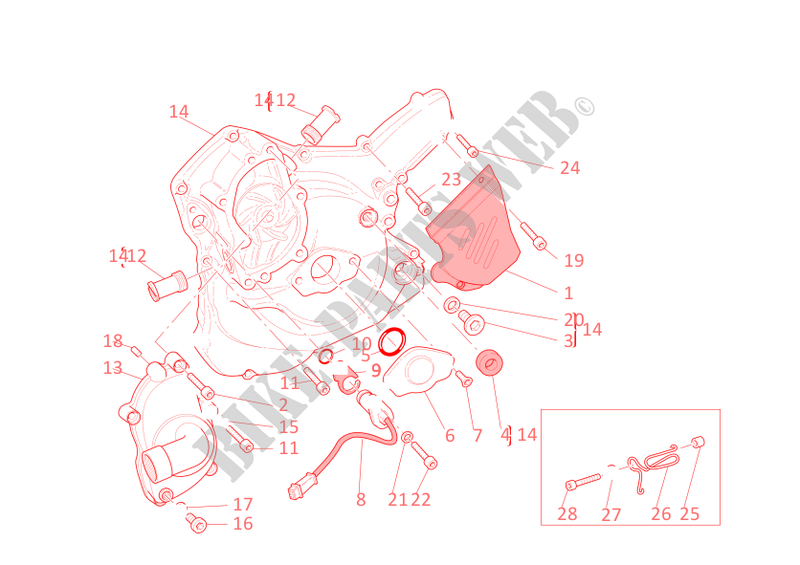 POMPE A EAU   COUVERCLE D'ALTERNATEUR  pour Ducati Monster S4R Testastretta 2007