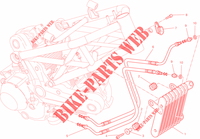 RADIATEUR D'HUILE pour Ducati Monster 795 ABS Red Stripe 2015
