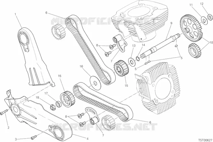 DISTRIBUTION Ducati Moto Scrambler 2021 Scrambler Nightshift 800  Scrambler Nightshift 800