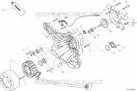 POMPE A EAU   COUVERCLE D'ALTERNATEUR  pour Ducati Monster 1200 2021