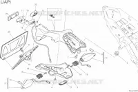 SUPPORT DE PLAQUE D'IMMATRICULATION pour Ducati Monster 1200 2021