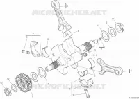 VILEBREQUIN pour Ducati Monster 1200 2021