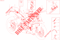 FAISCEAU ELECTRIQUE pour Ducati Streetfighter V4 2021