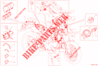 FAISCEAU ELECTRIQUE pour Ducati Hypermotard 950 2021