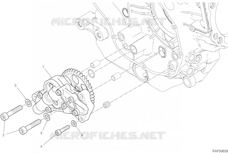 POMPE A HUILE Ducati Moto Scrambler 2022 Scrambler 800 Icon Dark  Scrambler 800 Icon Dark