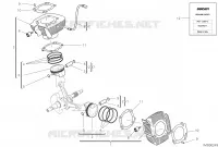CYLINDRES   PISTONS pour Ducati Scrambler 800 Nightshift 2022