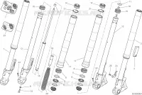 FOURCHE AVANT pour Ducati Scrambler 800 Nightshift 2022