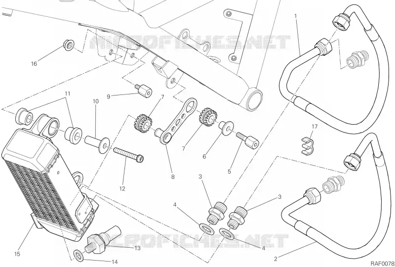 RADIATEUR D'HUILE Ducati Moto Scrambler 2023 Scrambler 800 Next-Gen Icon  Scrambler 800 Next-Gen Icon
