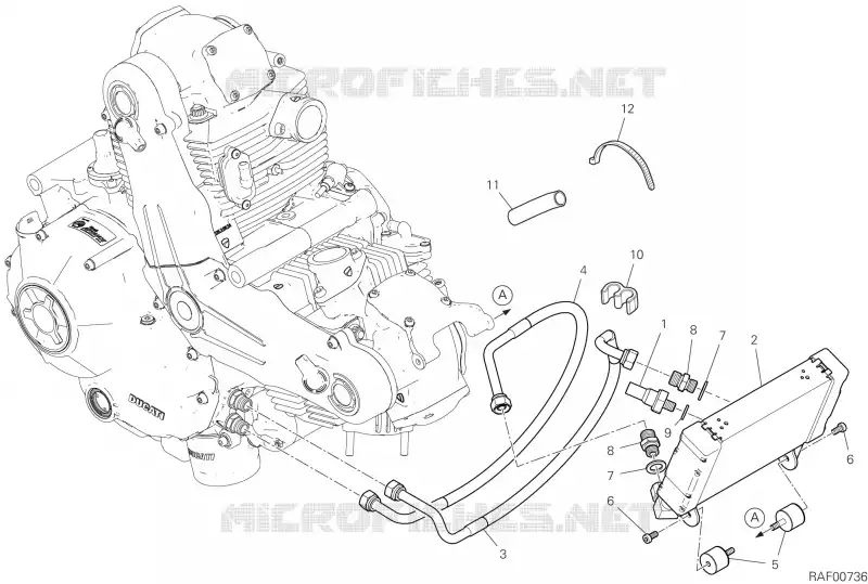 RADIATEUR D'HUILE Ducati Moto Scrambler 2023 Scrambler 1100 Dark Pro  Scrambler 1100 Dark Pro