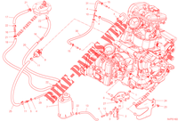 EVAPORATIVE EMISSION SYSTEM (EVAP) pour Ducati Multistrada V2 2023