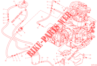 EVAPORATIVE EMISSION SYSTEM (EVAP) pour Ducati Multistrada V2 S Travel 2023