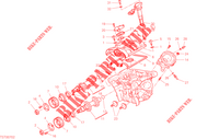 CULASSE VERTICALE   DISTRIBUTION pour Ducati Monster SP 2023