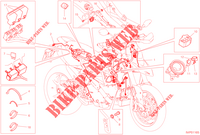 FAISCEAU ELECTRIQUE pour Ducati HYPERMOTARD 950 2023